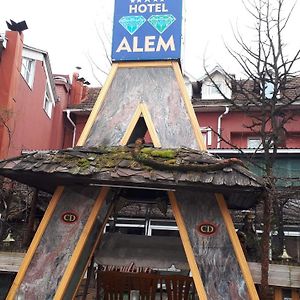 Hotel Alem